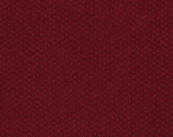 [400111233_2] Carve Classic - 120-Koraal